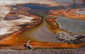 Firehole_pool