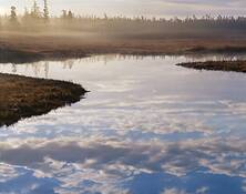 Bass_harbor_marsh