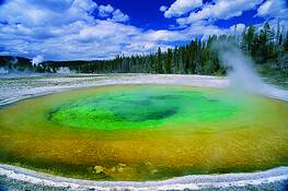 Beauty_pool