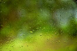 Westward_window_1