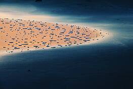 Beach-396