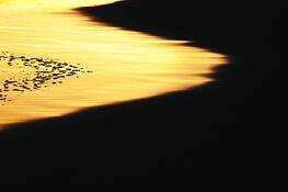 Beach-905
