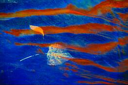 Flaming_reflections