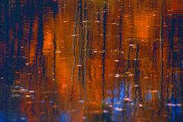 Pond_reflections