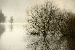 Laguna_6