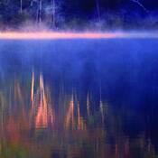Spring_mist
