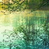 Zen_pond