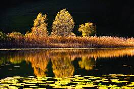 The_pond
