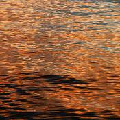 Waterscape