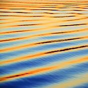 Waterscape