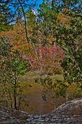Autumn_river_bank