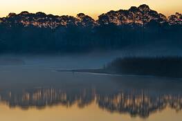 Misty_morning