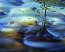 In_the_flow