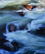 Merced_turmoil
