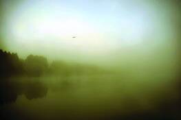 Lone_flight