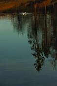 Reflections_ll