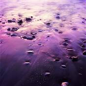 Low_tide_treasures__02