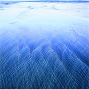 Low_tide_treasures__07