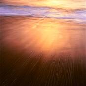 Low_tide_treasures__08