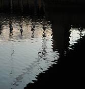 River_03