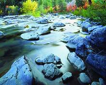 Greys_river_fall_colors