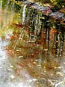 Autumn_reflexions