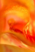 Inner_chamber