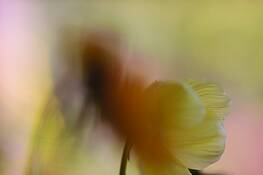 Untitled_2