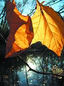 Untitled_14