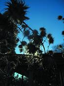 Untitled_19