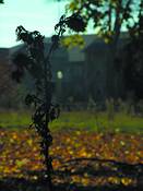 Untitled_20