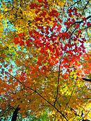 Untitled_27