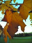Untitled_69