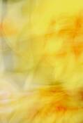 Untitled_6