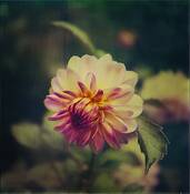 In_the_garden_2