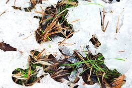 Late_winter_thaw__18