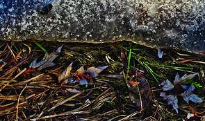 Late_winter_thaw__26