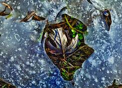 Late_winter_thaw__3
