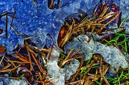 Late_winter_thaw__31