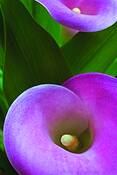 Untitled_2