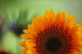 Untitled_3