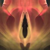 Sensual_10