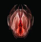 Untitled_10