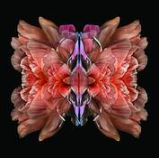 Untitled_8
