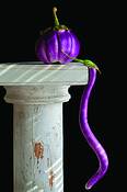 Eggplants
