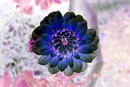 Garden_of_delight__3