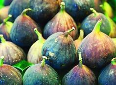 Figs