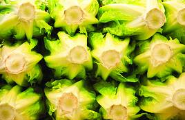Lettuce