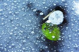 Green_and_white