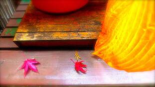 Organique_2